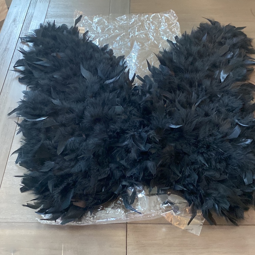 Black wings perfect for Halloween!